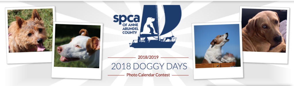 Doggy Days Photo Calendar Contest 2018/2019