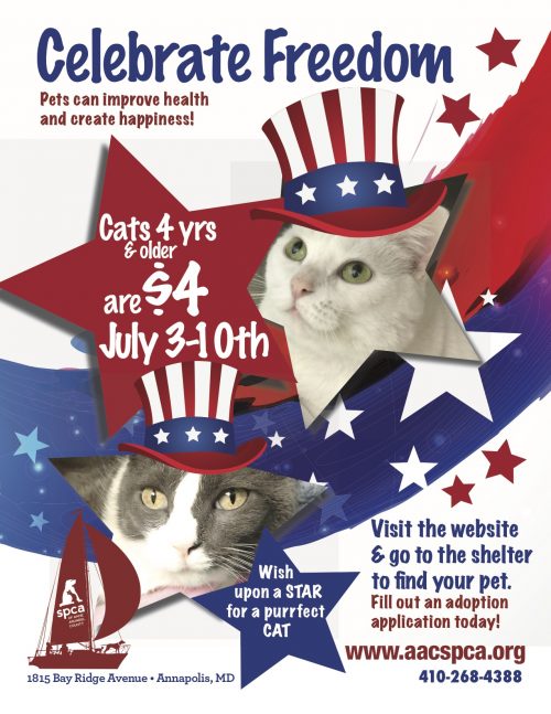 July Adoption Special