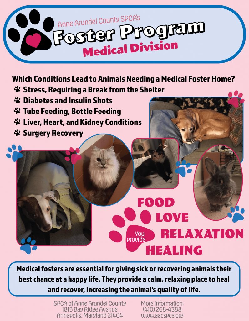Foster Program – SPCA of Anne Arundel County