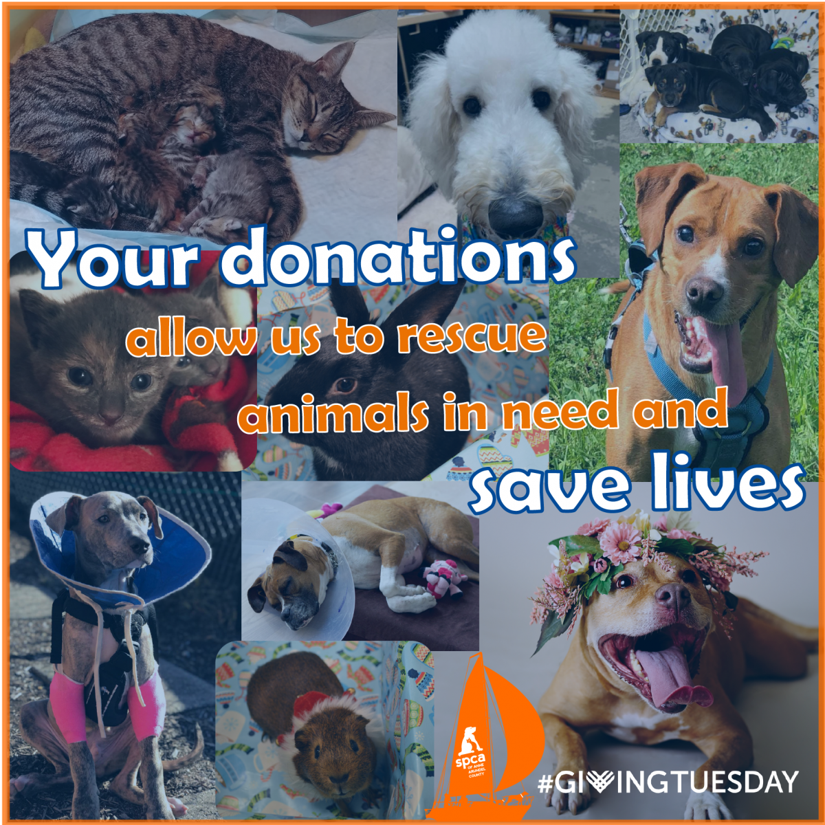 Today is #GivingTuesday!