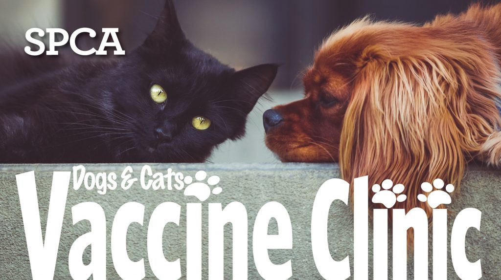 Low Cost Vaccine Clinic Spca Of Anne Arundel County