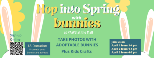 4/1 Hop into spring with BUNNIES! ￼
