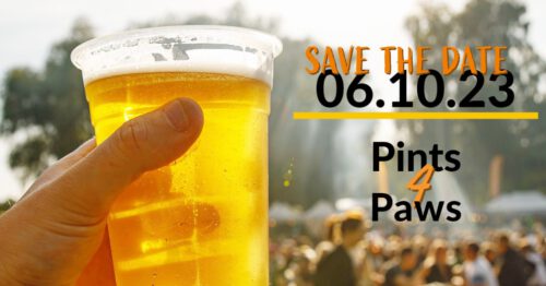 6/10 7th Annual Pints 4 Paws Homebrewing & Craft Beer Festival