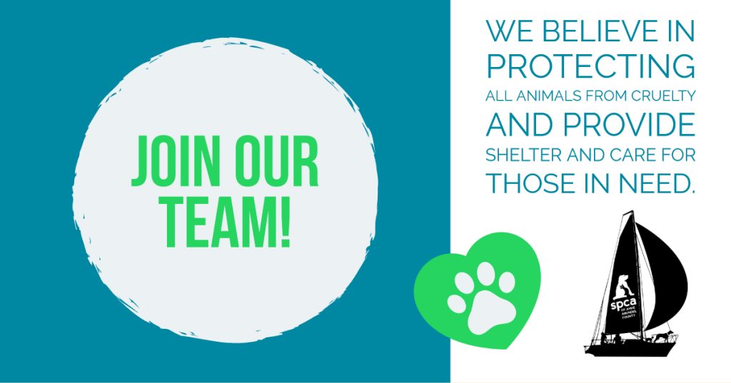 We’re Hiring: Veterinary Assistant (Part-Time)