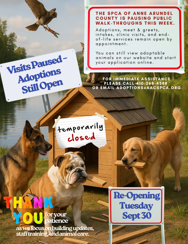 SPCA of Anne Arundel County Update