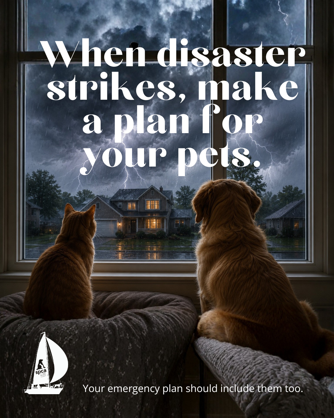 National Animal Disaster Preparedness Day: How to Keep Your Pets Safe During Emergencies