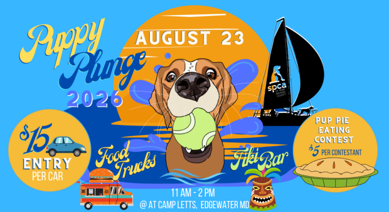 Puppy Plunge Returns to Camp Letts on August 23!