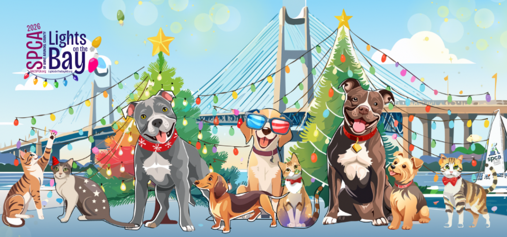 Lights on the Bay and Lights & Leashes is Back!