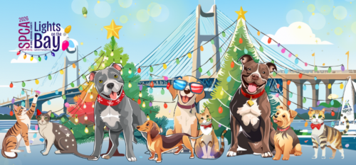 Lights on the Bay and Lights & Leashes is Back!