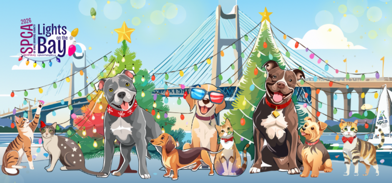 Lights on the Bay and Lights & Leashes is Back!